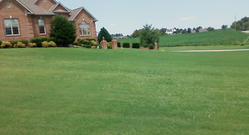 Big Horse Lawn Care Services in Clarksville, TN