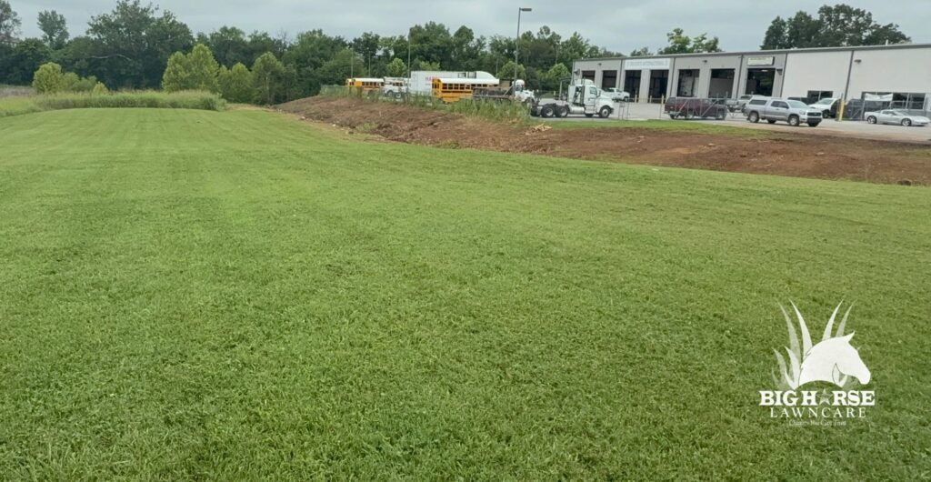 Clarksville TN Lawn Care Services
