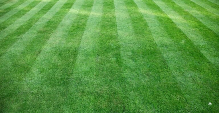 Clarksville TN Lawn Care Services