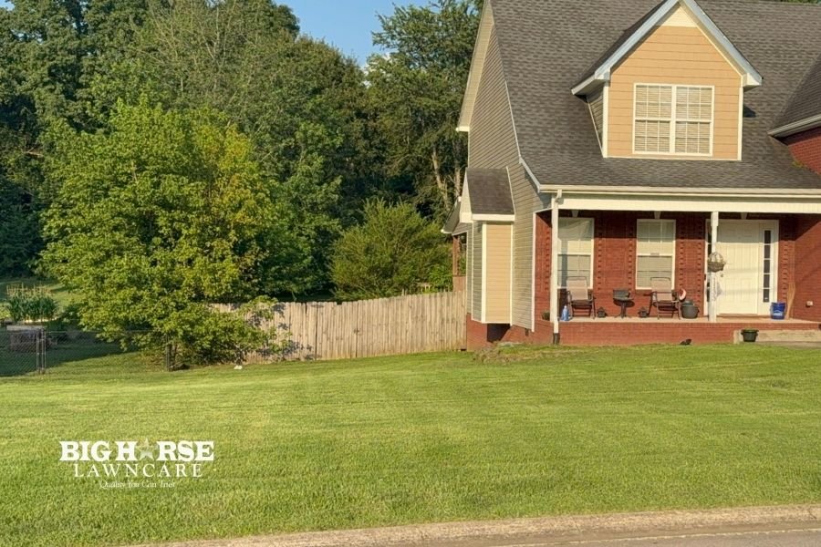 5 Summer Lawn Care Tips Every Clarksville Homeowner Should Know