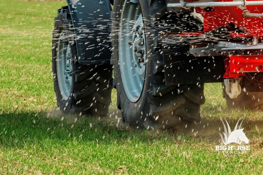 Timing Weed and Feed Around Clarksville Rain