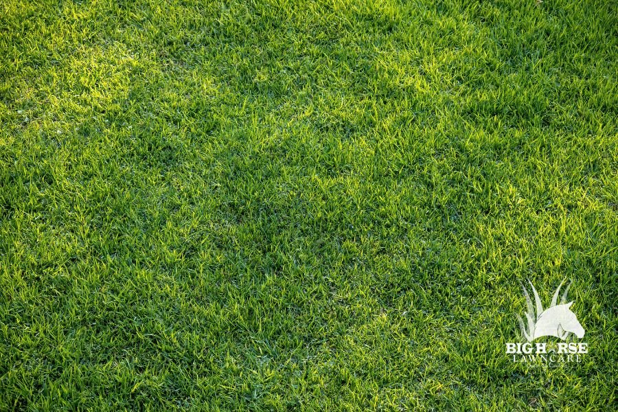 A Seasonal Clarksville Lawn Care Plan That Puts Both To Work